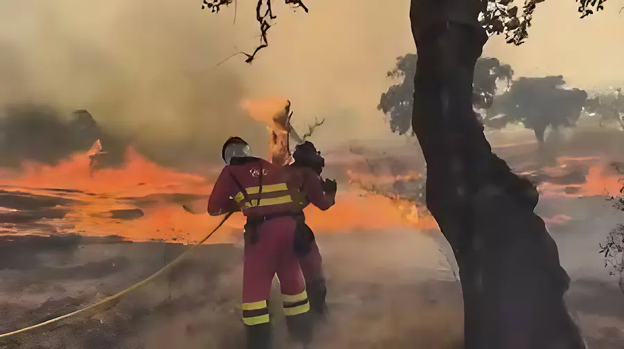 Incendios forestales en España
