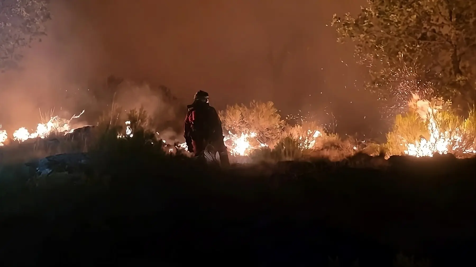 Cuando el fuego deja huella: la emergencia de salud mental en España